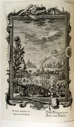 Kobberstikk fra 'Physica Sacra' av den sveitsiske lærde. Johann Jakob Scheuchzer