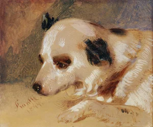 hundehode