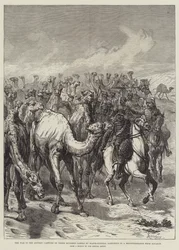 Krigen i Soudan, fangst av tre hundre kameler av generalmajor Sartorius i en rekognosering fra Souakim