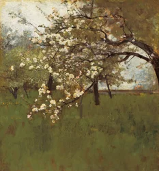 Blomstrende epletre (olje på lerret)