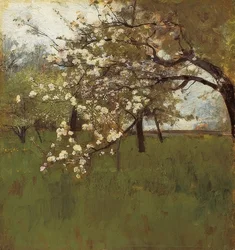 Blomstrende epletre
