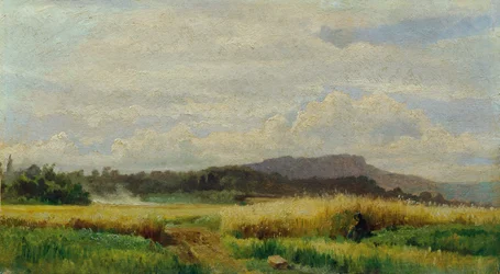 Kornåker med kjerring