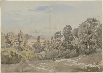 Skog med utsikt i det fjerne