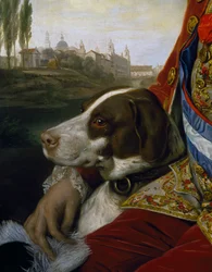 Hund, detalj fra portrett av Ferdinand av Bourbon, hertug av Parma