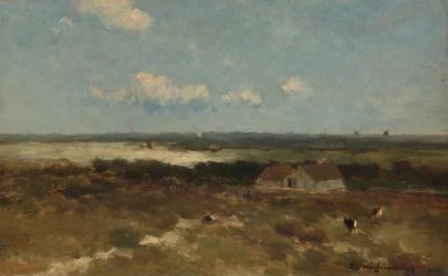 Sanddynlandskap