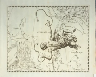 Boreal konstellasjon av Andromeda, gravering fra himmelatlas Firmamentum Sobiescianum sive Uronographia, av Johann Hevelius (1611-1687), Gdansk