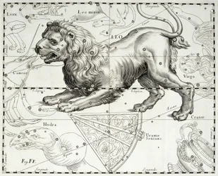 Løven, dyrekretsens stjernebilde Løven, illustrasjon fra Johann Hevelius