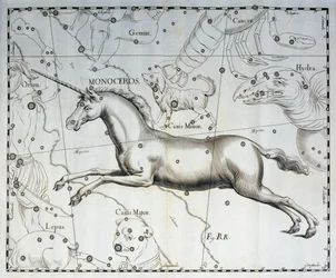 Monoceros, Enhjørningens stjernebilde, gravering fra himmelatlaset Firmamentum Sobiescianum sive Uronographia av Johann Hevelius (1611-1687), Gdańsk