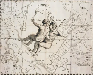 Konstellasjonen Tvillingene, illustrasjon fra Firmamentum Sobiescianum sive Uranographia, av Johann Hevelius (1611-1687), Gdansk 1690