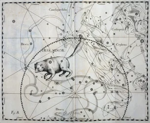 Ursa Minor, Boreal konstellasjon av Ursa Minor, gravering fra himmelatlas Firmamentum Sobiescianum sive Uronographia, av Johann Hevelius (1611-1687), Gdansk