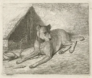 Hund på en lenke ved et hundehus