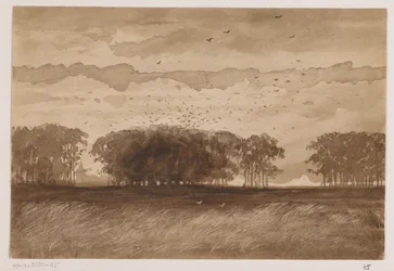 Rookery i Nord-Brabant