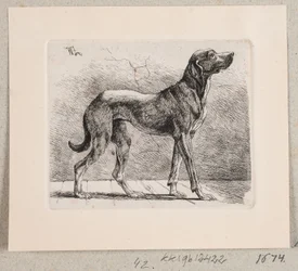En stående hund