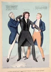 "En vill elefant ledet mellom to tamme", pub. 1830 (håndfarget gravering)
