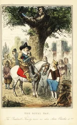 Kong Charles II gjemmer opp et eiketre i Boscobel Wood, etter slaget ved Worcester