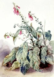 Revehansker