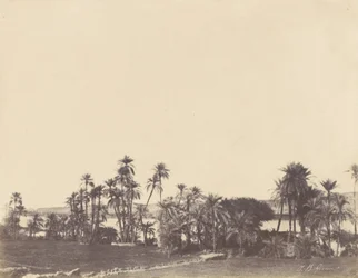Banks of the Nile, Kalabsché