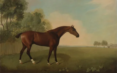 En brun hest på en åker, 1778
