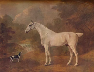 En loppebitt grå og en flekket terrier, 1803.