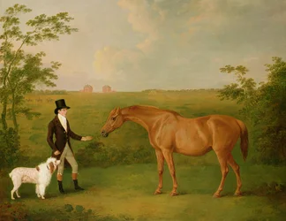 En gentleman med en hvit hund og en kastanjebrun hoppe i et landskap