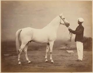 Generalløytnant Sir Frederick Sleigh Roberts
