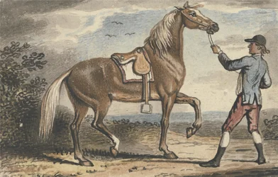 Stallgutt som holder en hest i et landskap (wc på papir)
