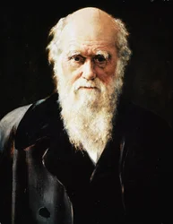 Portrett av den engelske naturforskeren Charles Darwin, detalj