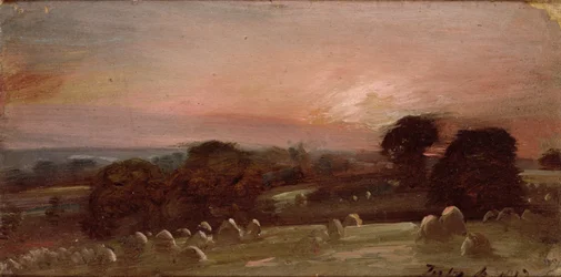 En slåttemark nær Øst-Bergholt ved solnedgang