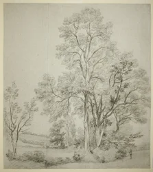 Et stativ av almetrær (recto); En studie av Øst-Bergholt med kirken (verso)