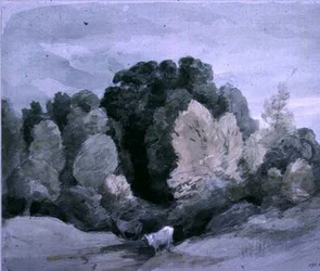Storfe nær kanten av en skog, ca. 1805