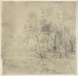 Cowdray Castle, sett mellom trærne