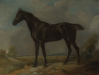 Golding Constables svarte ridehest