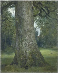 Studie av stammen til et almetre, ca. 1824