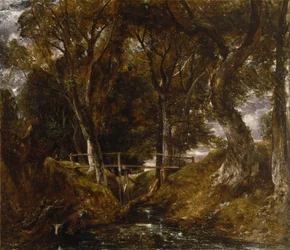 Dell på Helmingham Park