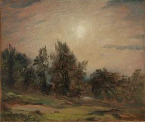 Trær på Hampstead Heath