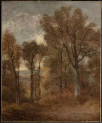 Skoglandskap med utsikt over Dedham Vale
