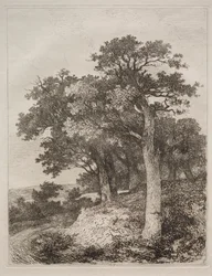 At Colney.    1193416   no       norwegian Successfully Translated  Original: Silverweed, Potentilla anserina. Translat: Silverweed, Potentilla anserina. 1376548 no norwegian Successfully Translated Original: View of the Ponte Rotto, Rome Translat: View of