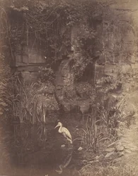 Fisker, nei. 2, 1856.