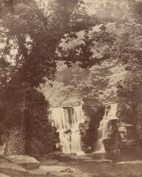De øvre fossene, Penllergare Valley Woods, ca. 1852 (foto)