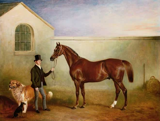 Mr Meakin holder Sir Robert Peel's Chestnut Hunter med hundene sine "Hector" og "Jem"