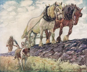 Pløying av åkeren, illustrasjon fra 'Helpers Without Hands' av Gladys Davidson, utgitt i 1919 (farge litho)