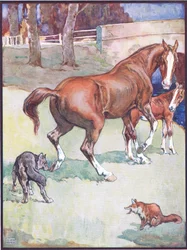 The Mare Lifted Her Hoof, illustrasjon for Reynard the Fox, fra Animal Legends from Many Lands, utgitt av Raphael Tuck & Sons Ltd.