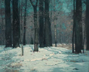 Skog om vinteren
