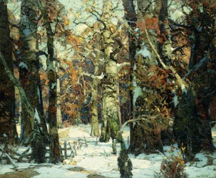 Aisles of the Forest, Berkshires