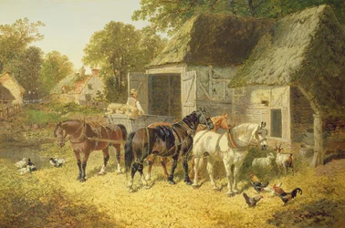 Hester i sele