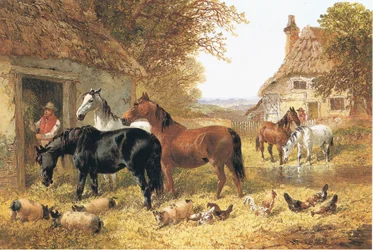 Hester i et gårdstun