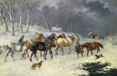 Hester i snøen