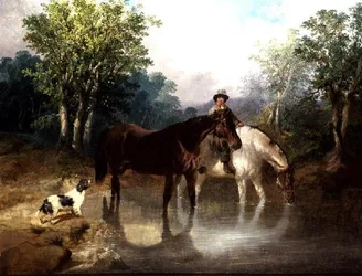 To hester, en mann og en hund ved en bekk