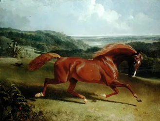 Galopperende hest i et landskap (olje på lerret)