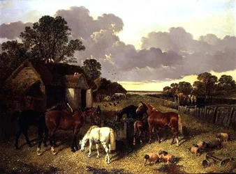 Hester, griser, fjærfe, and og storfe i en gårdsplass